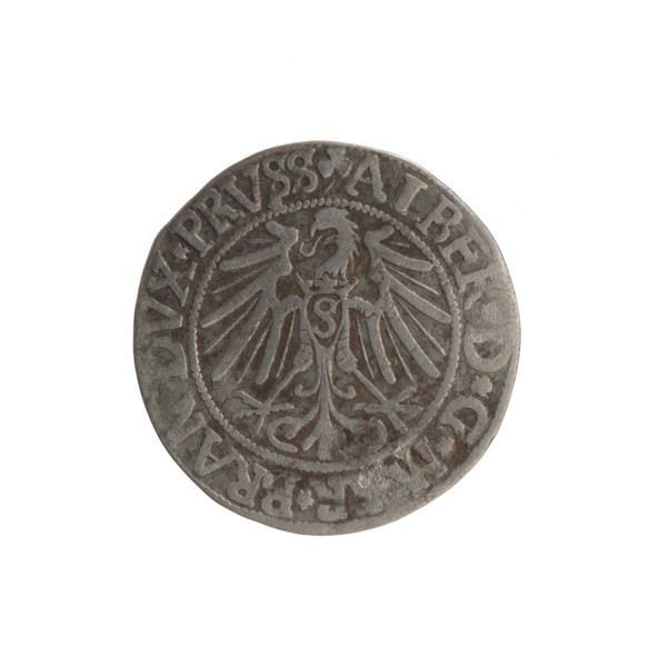 grosz; Straub (Strawb), Heinrich, R0 (rarity); Albrecht Hohenzollern (Prince of Prussia; 1490–1568)