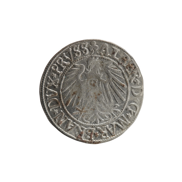 grosz, Straub (Strawb), Heinrich, R0 (rarity), Albrecht Hohenzollern (Prince of Prussia; 1490–1568)