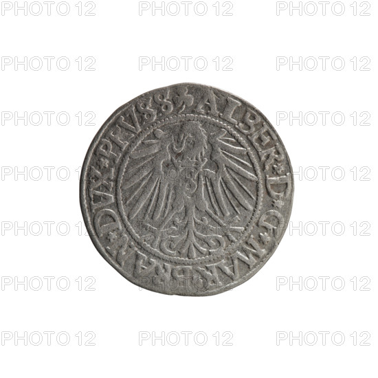 grosz, Straub (Strawb), Heinrich, R0 (rarity), eagles, Albrecht Hohenzollern (Prince of Prussia;
