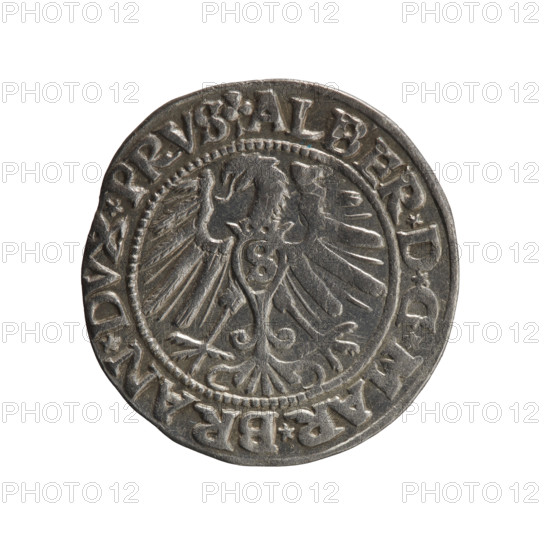 grosz; Schilling, Maciej; eagles. Albrecht Hohenzollern (Prince of Prussia; 1490–1568) —