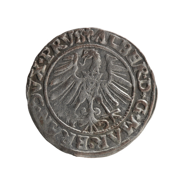 grosz, Schilling, Maciej, Albrecht Hohenzollern (Prince of Prussia; 1490-1568) - iconography,