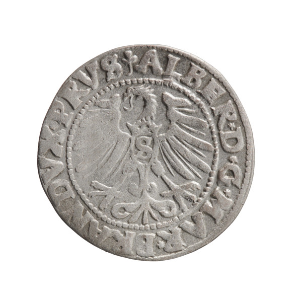 grosz; Schilling, Maciej; eagles; Albrecht Hohenzollern (Prince of Prussia; 1490–1568) —