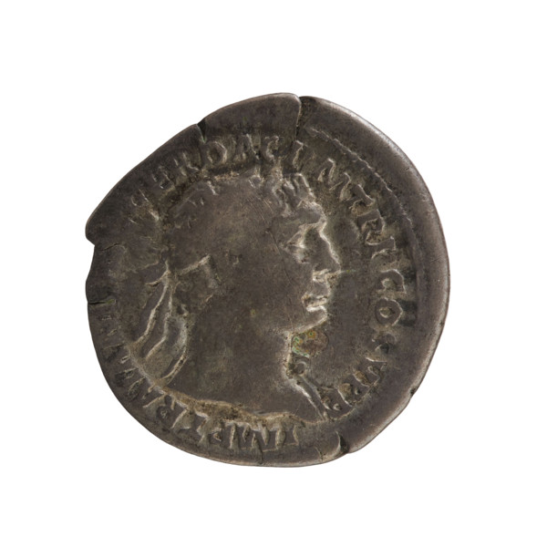 Denarius of Emperor Trajan (53–117; ruled 98–117). Obverse: bust of Trajan right, wearing a laurel