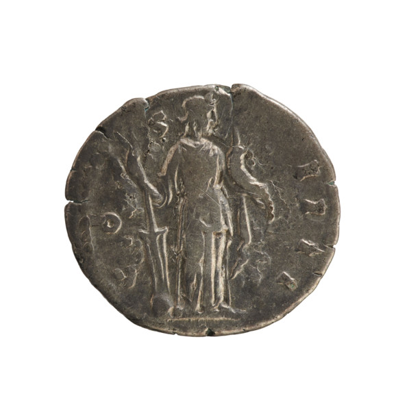 Denarius, Antoninus Pius (86–161; Roman emperor 138–161). Obverse: Emperor's head in a laurel