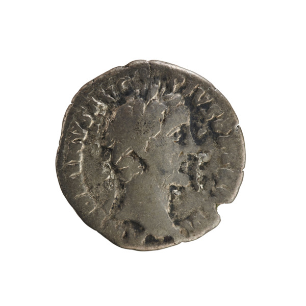 Denarius of Antoninus Pius (86–161; Roman emperor 138–161). Obverse: Emperor's head in a laurel