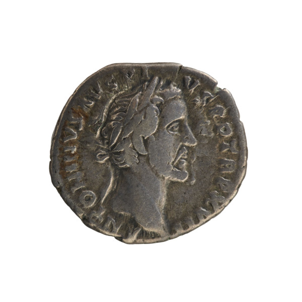 Denarius of Antoninus Pius (86–161; Roman emperor 138–161). Obverse: Emperor's bust in a laurel