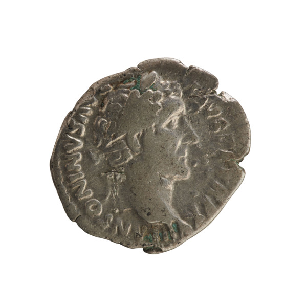 Denarius of Antoninus Pius (86–161; Roman emperor 138–161). Obverse: Emperor's head in a laurel