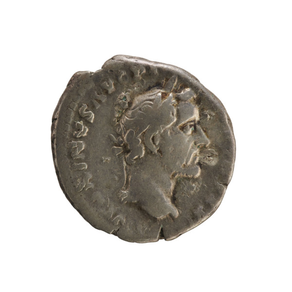Denarius of Antoninus Pius (86–161; Roman emperor 138–161). Obverse: Emperor's head in a laurel