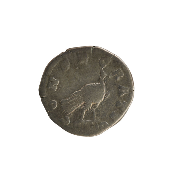 Denarius, Marcus Aurelius (121–180; Roman emperor 161–180) and Faustina the Younger (ca. 130–176;