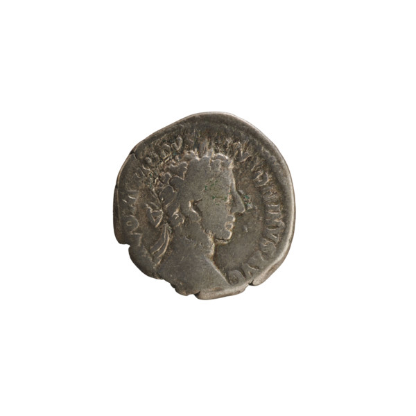 Denarius of Commodus (reign 177–192 CE). Obverse: Emperor's head right, laurel wreath; pearl
