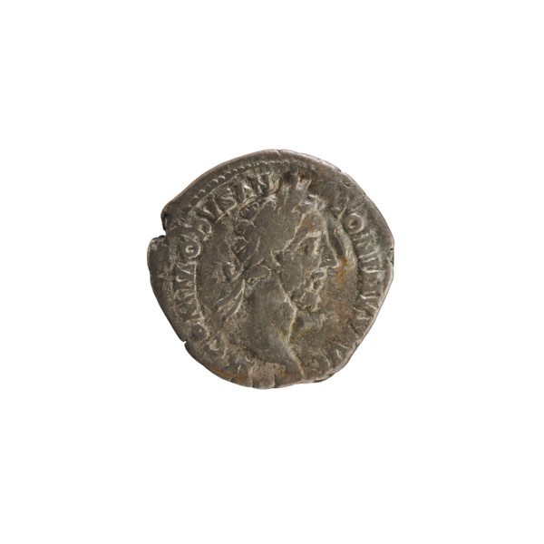 Denarius of Commodus (161–192; Roman emperor 177–192). Obverse: Emperor's bust right, with laurel