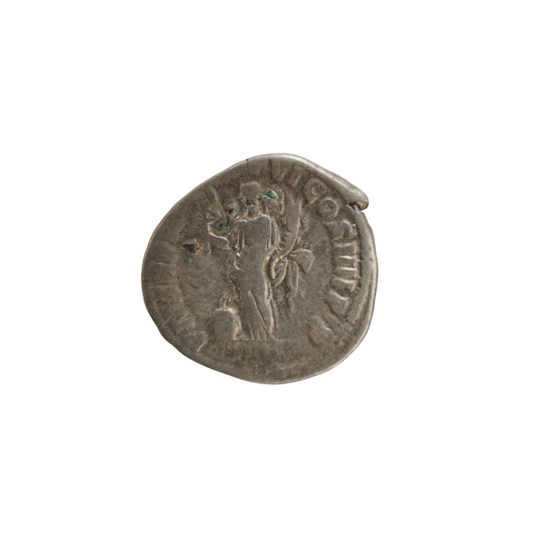 Denarius, Commodus (161–192; Roman emperor 177–192). Obverse: M COMMODVS TON AVG PIVS — bust of the
