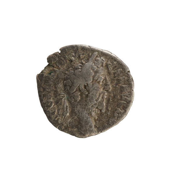 Denarius, Commodus (161–192; Roman emperor 177–192). Obverse: laureate head of the emperor right,