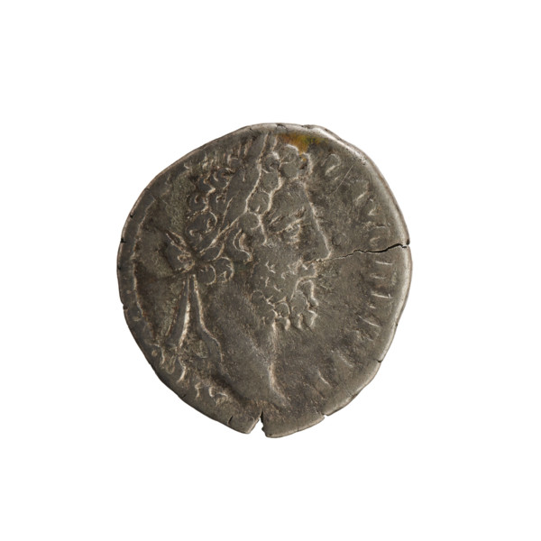 Denarius of Commodus (161–192; Roman emperor 177–192). Obverse: Emperor's bust right, wearing a