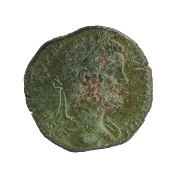 Sestertius, Roman Empire (195–196 CE). Obverse: Head of Septimius Severus with laurel wreath and