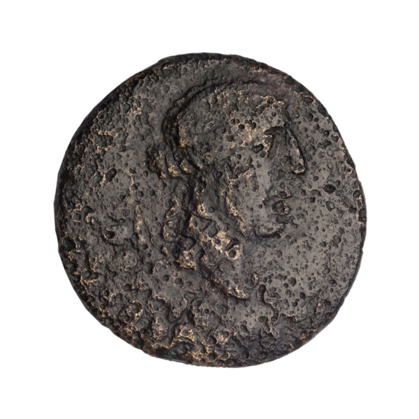 bronze coin, Gorgippia; head of Apollo (iconographic), tripod (iconographic), thyrsus
