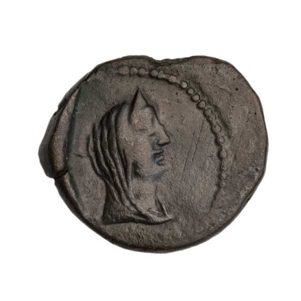 Bronze coin, Phanagoria (as Agrippias); obverse: head of a woman in a diadem and veil—Aphrodite