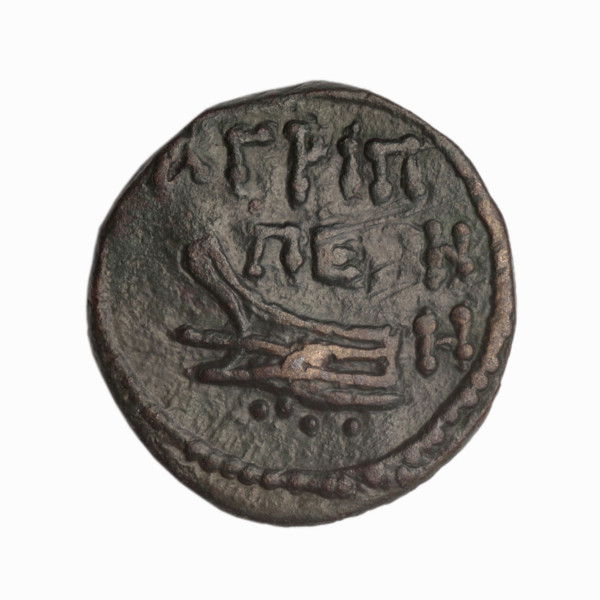 Bronze coin, Phanagoria (as Agrippias); obverse: head of a woman in a diadem and veil (possibly