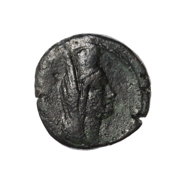Bronze coin, Pantikapaion (as Kaisarea); obverse: woman's head in kalathos and veil (Aphrodite