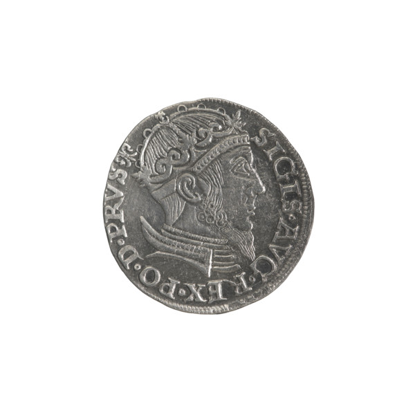 Gdansk trojak, Sigismund II Augustus (King of Poland; 1544–1572), royal bust, Gdansk (coat of