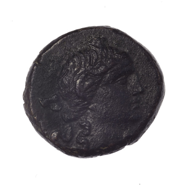 bronze coin, Pantikapaion; obverse: head of young Dionysus in an ivy wreath facing right; reverse: