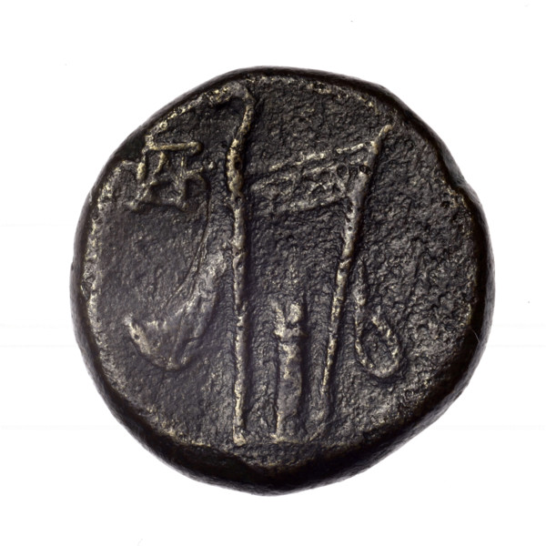 bronze coin, Pantikapaion; obverse: head of young Dionysus in an ivy wreath facing right; reverse:
