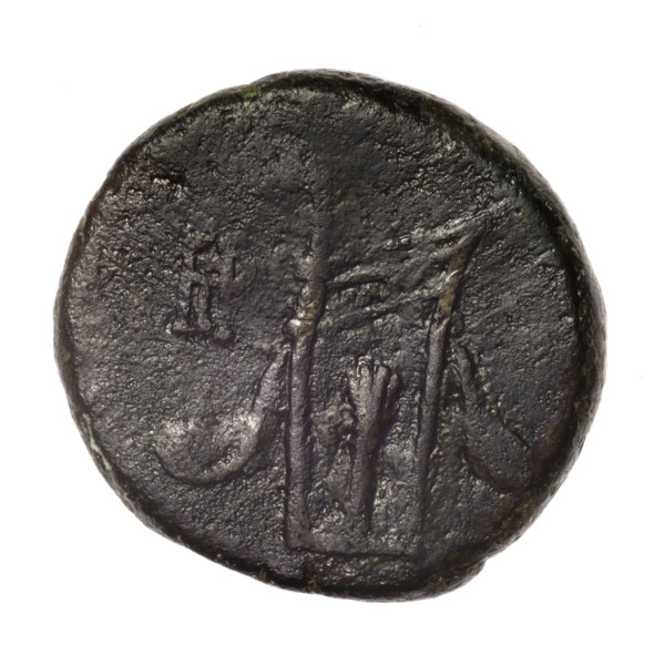bronze coin, Pantikapaion; obverse: head of young Dionysus in an ivy wreath facing right; reverse: