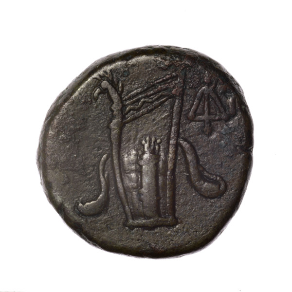 bronze coin, Pantikapaion; obverse: head of young Dionysus in an ivy wreath facing right; reverse:
