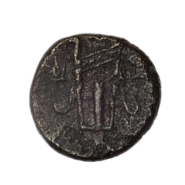 Bronze coin, Pantikapaion; obverse: head of young Dionysus in an ivy wreath facing right; reverse: