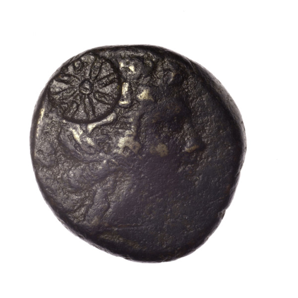 bronze coin, Pantikapaion; obv.: head of young Dionysus in ivy wreath facing right, countermark