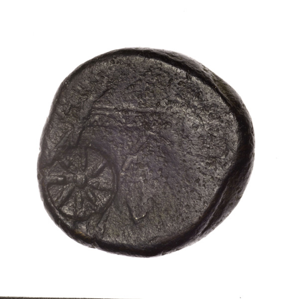 Bronze coin from Pantikapaion, end of 2nd–ca. mid 1st century BC (time of Mithridates VI Eupator,