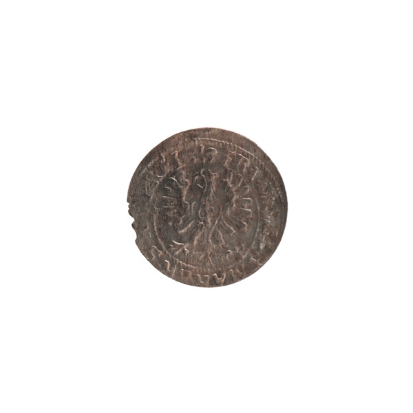 szelag, Frederick William (Elector of Brandenburg; 1620–1688). Obverse: Prussian eagle; on its