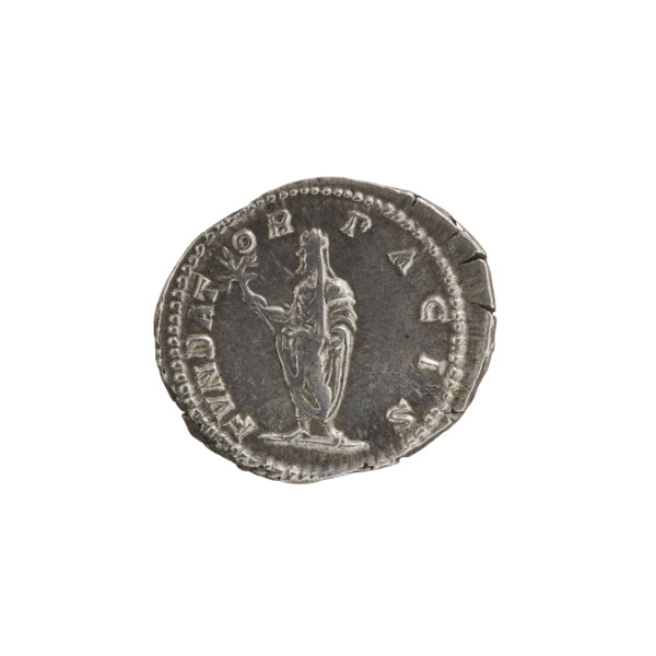 Denarius, standing emperor, Septimius Severus (Roman emperor; 146–211) — iconography: branch