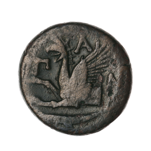 bronze coin, Pantikapaion; obv.: head of a bearded Satyr without a wreath to the right; rev.: