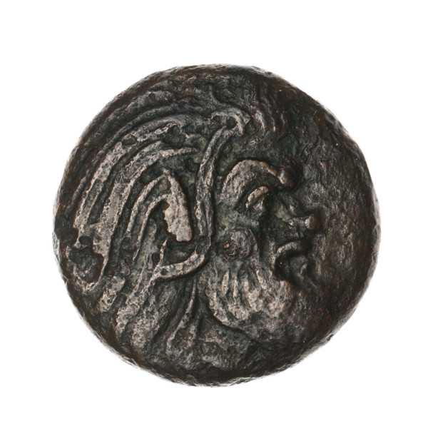 bronze coin, Pantikapaion, protoma of a griffin (iconographic), head of a Satyr (iconographic),
