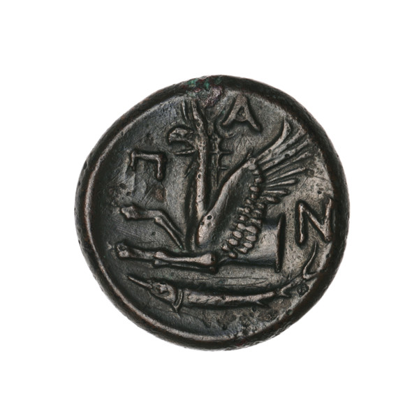 bronze coin, Pantikapaion; protoma of a griffin (iconographic); head of a Satyr (iconographic);