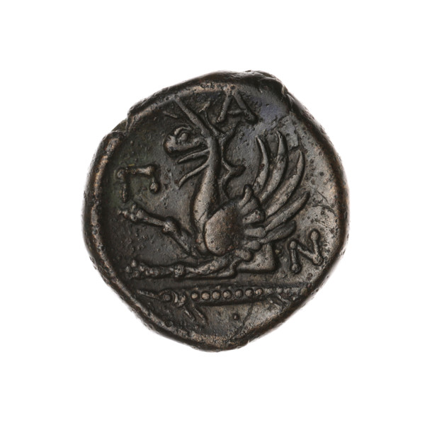 Bronze coin, Pantikapaion; obv.: head of a bearded Satyr without a wreath facing right; rev.: