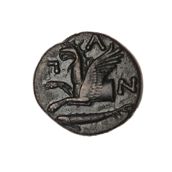 bronze coin, Pantikapaion; obverse: head of a bearded Satyr without a wreath to the right; reverse: