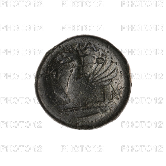 Bronze coin, Pantikapaion; obverse: head of a bearded Satyr without a wreath to the right; reverse: