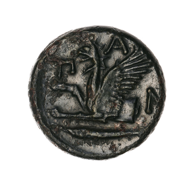 Bronze coin, Pantikapaion; protoma of a griffin (iconographic); head of a Satyr (iconographic);
