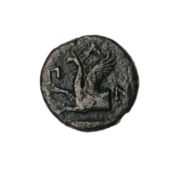 Bronze coin, Pantikapaion; obverse: head of bearded Satyr without wreath facing right; reverse:
