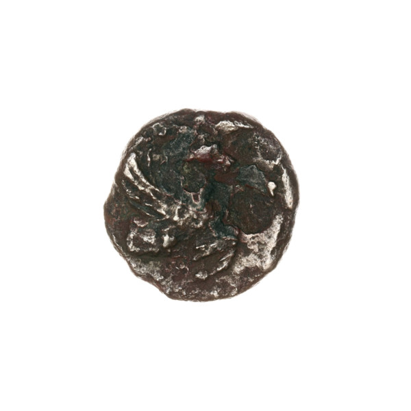 Bronze coin, Pantikapaion; obverse: head of beardless Satyr to the right; reverse: protoma of