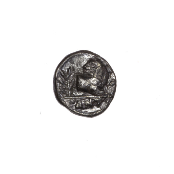 Obol, Pantikapaion; obverse: head of a beardless Satyr in a willow wreath facing right; reverse: