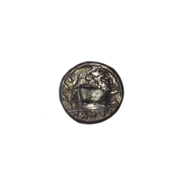 Obol, Pantikapaion; obverse: head of a beardless Satyr in a willow wreath facing right; reverse: