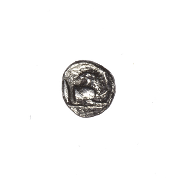 hemiobol, Pantikapaion, grains, lion protoma (iconographic), Satyr's head (iconographic), Satyr