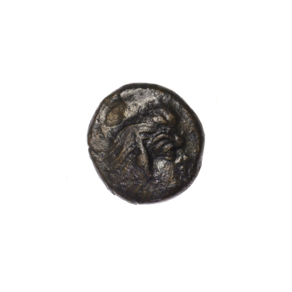 bronze coin, Pantikapaion; obverse: head of a beardless Satyr facing right; reverse: bull's head
