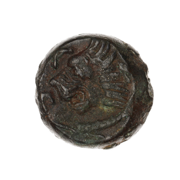 Bronze coin, Pantikapaion; obv.: head of a beardless Satyr in an ivy wreath facing left; rev.: