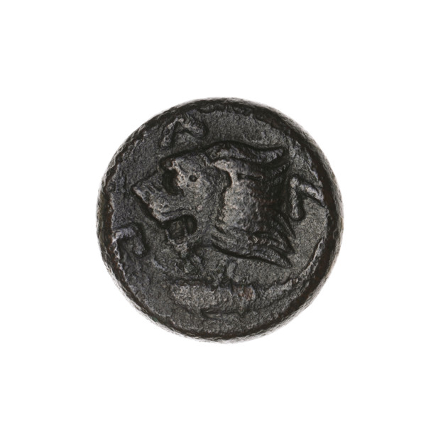 Bronze coin (315–300 BC) from Pantikapaion, Cimmerian Bosporus. Obverse: head of a beardless Satyr
