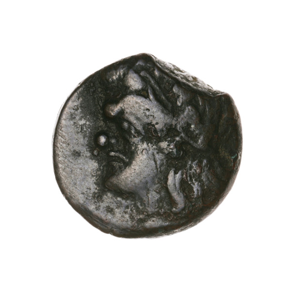 Bronze coin, Pantikapaion, 315–300 BC, Cimmerian Bosporus; obverse: head of a beardless Satyr in an