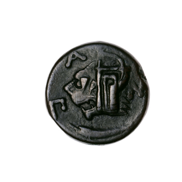 bronze coin, Pantikapaion; obverse: head of a beardless Satyr in an ivy wreath facing left with a